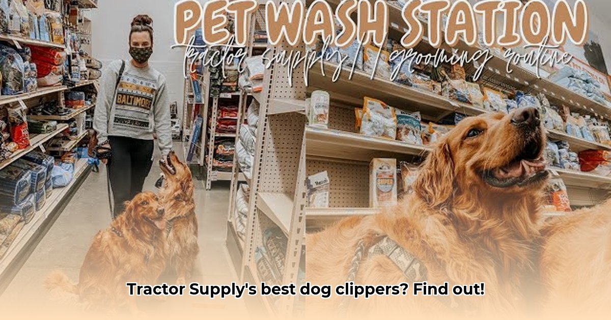 dog-clippers-tractor-supply